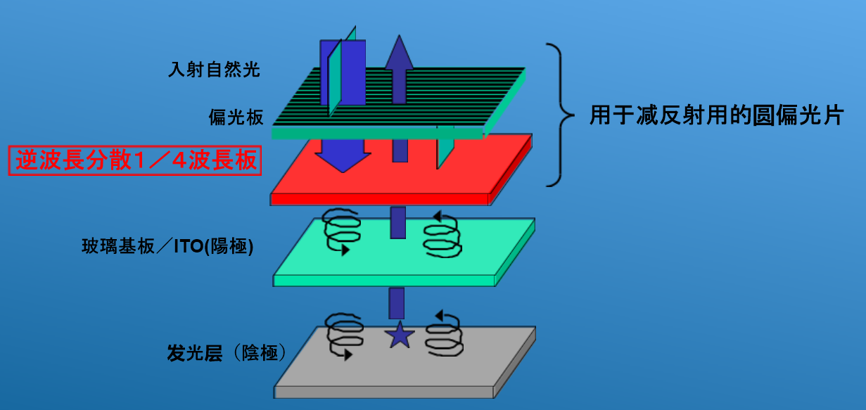 圖片3.png 圖片3.png